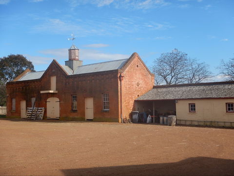 Cooma Cottage - Winery Find 1