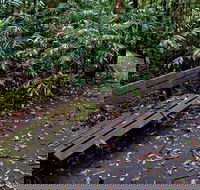 Coombadjha Nature Stroll - Winery Find