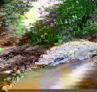 Currumbin Rock Pools - Winery Find