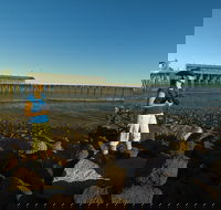 Derby Jetty - Winery Find