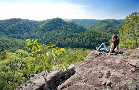 Dubbo Gully Loop Trail - Winery Find 0