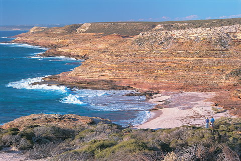 Eagle Gorge - Winery Find 0