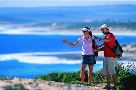 Eagle Gorge - Winery Find 1