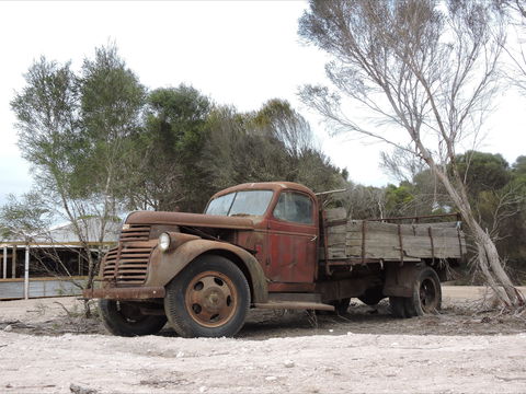 Emu Ridge Eucalyptus Pty Ltd - Winery Find 2