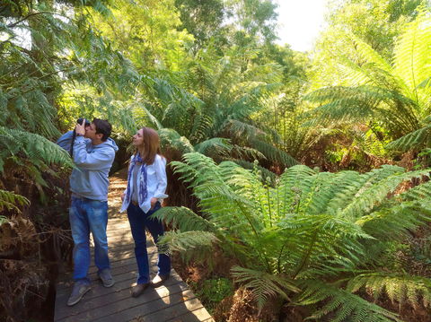 Endeavour Fern Gully Walks - Winery Find 0