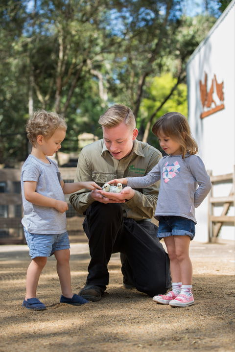 Featherdale Wildlife Park - Winery Find 2