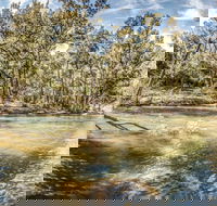 Flea Creek Picnic Area - Winery Find