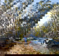 Forest Drive Murrumbidgee Valley National Park - Winery Find