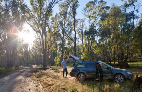 Forest Drive, Murrumbidgee Valley National Park - Winery Find 0