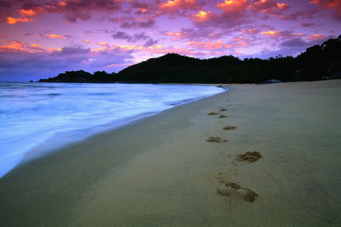 Hinchinbrook Island National Park - Winery Find 2
