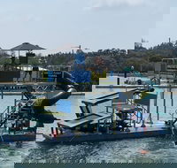 Jungle Float - Winery Find