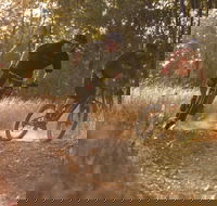 Kholo Gardens Trails - Winery Find