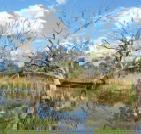 Lagoon Creek - Winery Find