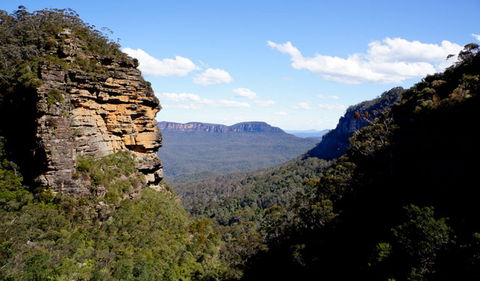 Leura Cascades - Winery Find 1