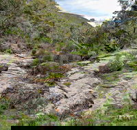 Lynchs Loop Trail - Winery Find