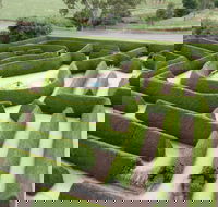 Mintaro Maze - Winery Find