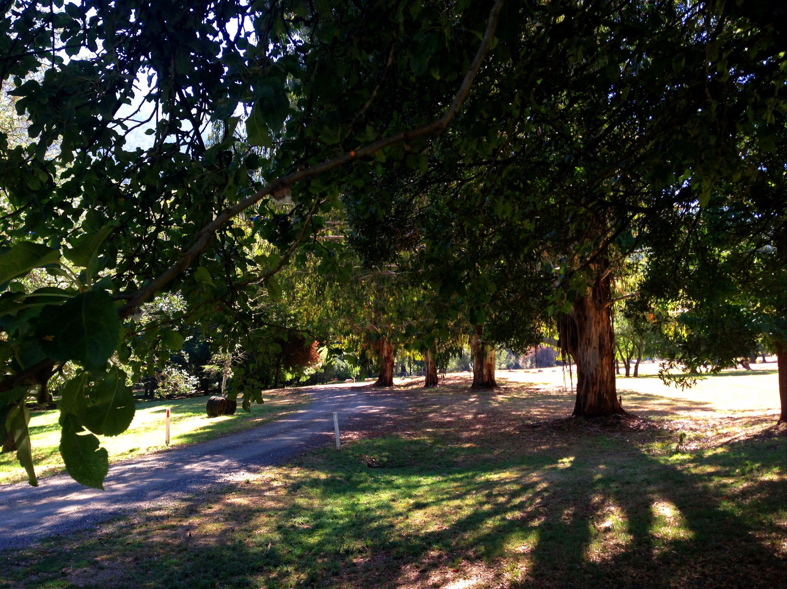 Mirimbah VIC Winery Find