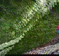 Morisset - Winery Find