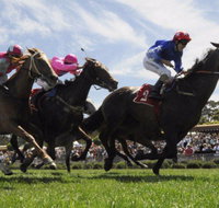 Moruya Racecourse - Winery Find