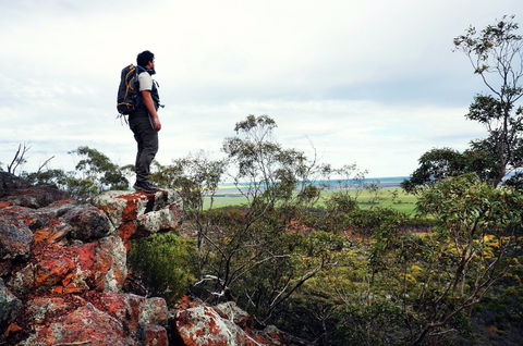 Mount Matilda - Winery Find 0