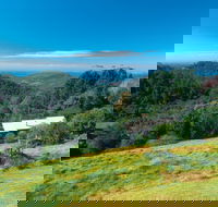 Mount Glorious - Winery Find