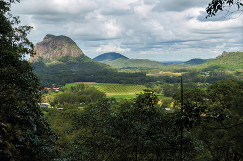 Mount Ngungun Summit Walking Track, Glass House Mountains National Park - Winery Find 1