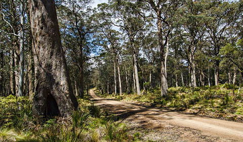 Mummel Gulf National Park - Winery Find 1