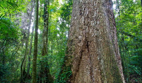 Murray Scrub Walking Track - Winery Find 0