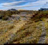 Murramarang Aboriginal Area Walking Track - Winery Find
