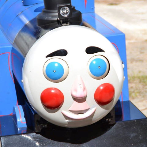 Museum Minature Trains And Yanco Powerhouse Museum - Winery Find 1