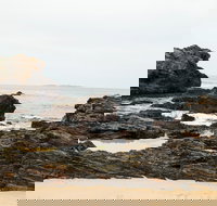 Mystery Bay Short Walk - Winery Find