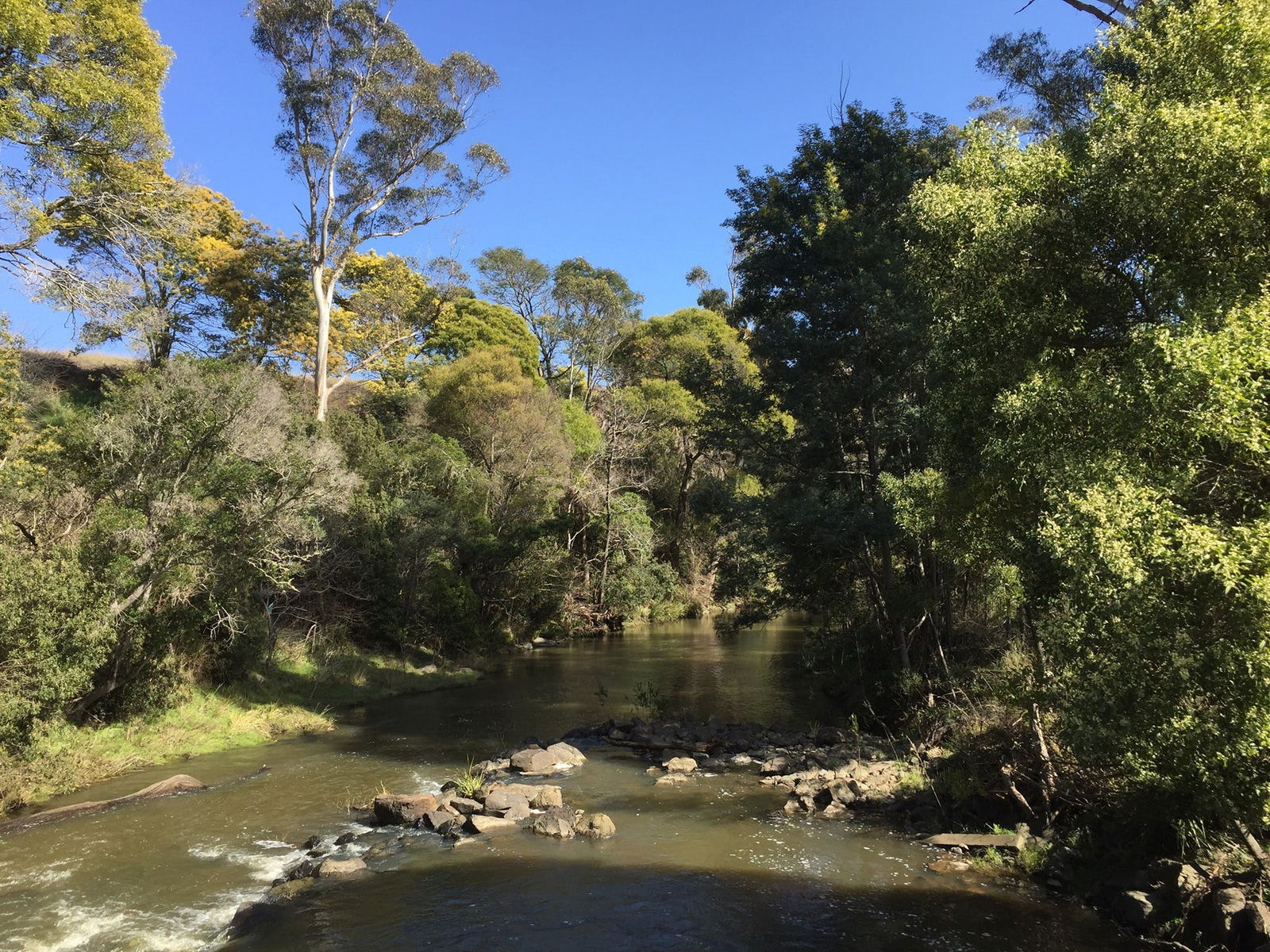Pipers River TAS Winery Find