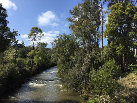 Pipers River Board Walk - Winery Find 1
