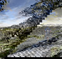 Snow Gums boardwalk - Winery Find