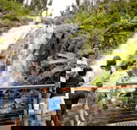 Steavenson Falls - Winery Find