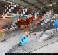 The Equine Club - Winery Find