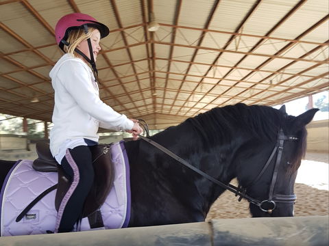 The Equine Club - Winery Find 1