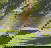 The Lions Junction Park - Tumut - Winery Find