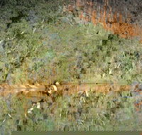 Time Walk Windjana Gorge National Park - Winery Find