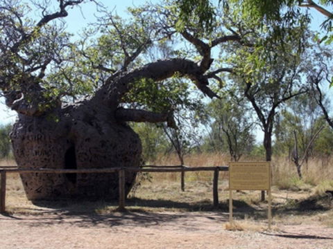 Time Walk, Windjana Gorge National Park - Winery Find 2