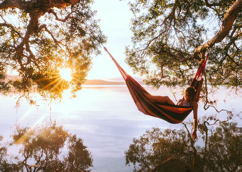 Tiona - Winery Find 0