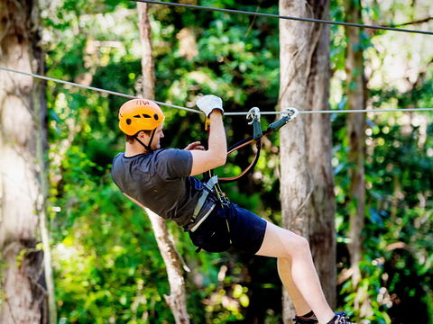 TreeTop Challenge Currumbin Wildlife Sanctuary - Winery Find 0