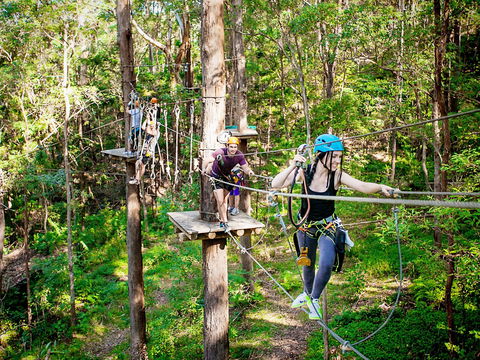 TreeTop Challenge Currumbin Wildlife Sanctuary - Winery Find 1