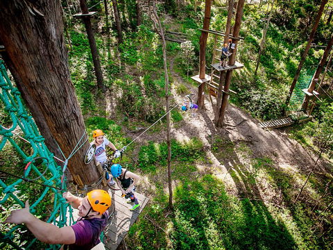 TreeTop Challenge Currumbin Wildlife Sanctuary - Winery Find 2