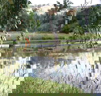 Tumut Wetlands - Winery Find