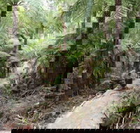 Upper Yarra Reservoir Park - Winery Find