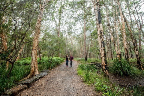 Venman Bushland National Park - Winery Find 0