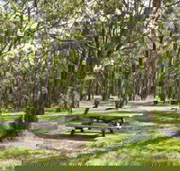 Wollomombi Gorge and Falls Picnic Area - Winery Find