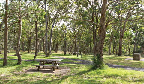 Wollomombi Gorge And Falls Picnic Area - Winery Find 0