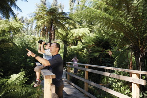Yarra Ranges National Park - Winery Find 1